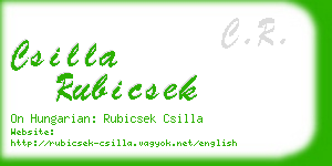 csilla rubicsek business card